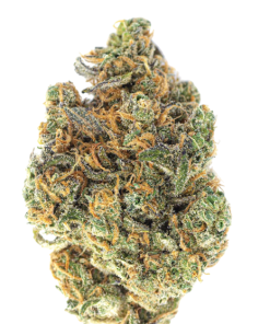 10 PACK PRE-ROLLS - MALEFI-SCENT