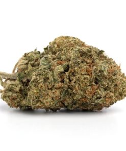 Blueberry Pie Strain